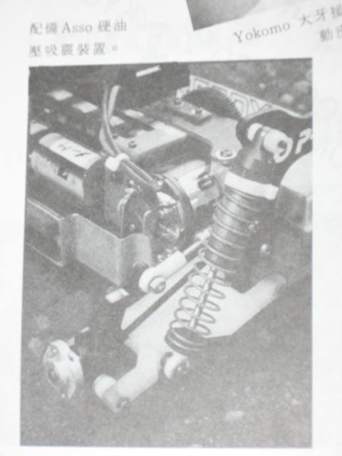 insect specimen 141.jpg